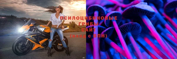 мяу мяу мука Балабаново