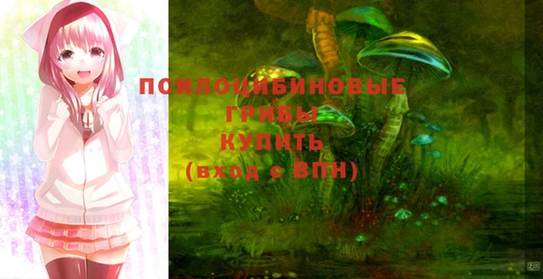 дживик Баксан
