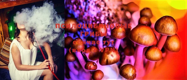 дживик Баксан